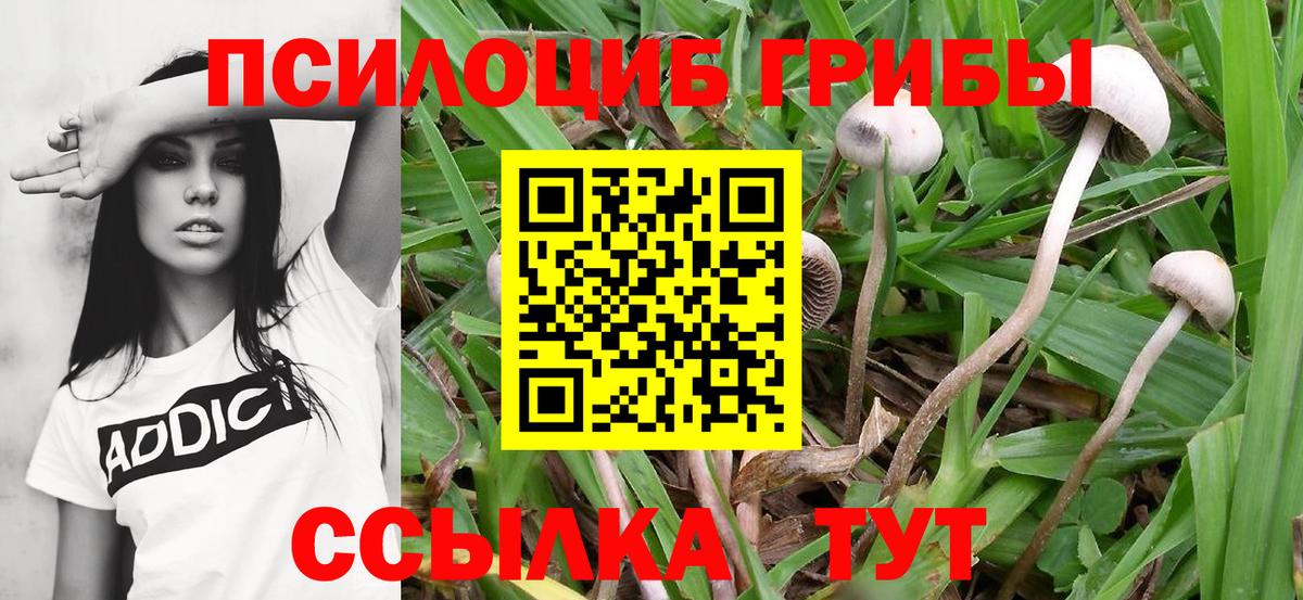 Псилоцибиновые грибы ЛСД Стрежевой