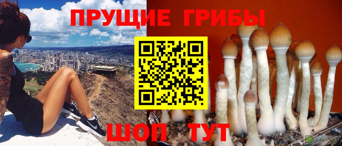 Стрежевой  Галлюциногенные грибы Magic Shrooms  Вход с VPN 